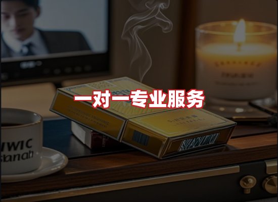 专业团队
